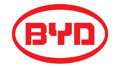 BYD stock