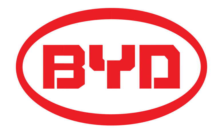BYD stock