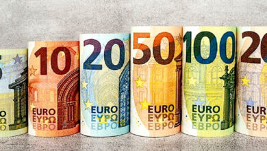 Euro Surges Against Pakistani Rupee in Recent Trend