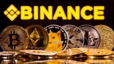 Cryptocurrency Market Update: Binance USD Hits Record High